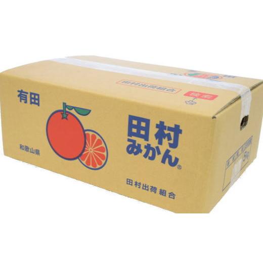 ふるさと納税 和歌山県 紀美野町 田村みかん約5kg（Sサイズ・秀品） ／ 果物 くだもの フルーツ 蜜柑 みか…