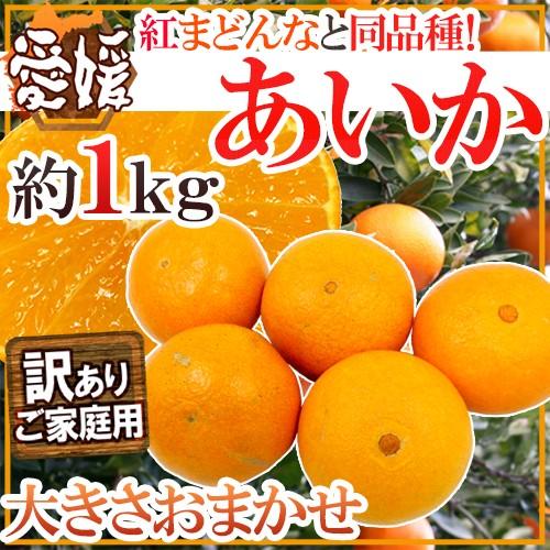 愛媛産 紅まどんなと同じ品種”あいか” 訳あり 約1kg 大きさおまかせ