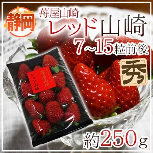 いちご 静岡県 ”苺屋山崎 レッド山崎” 秀品 7〜15粒前後 約250g 送料無料