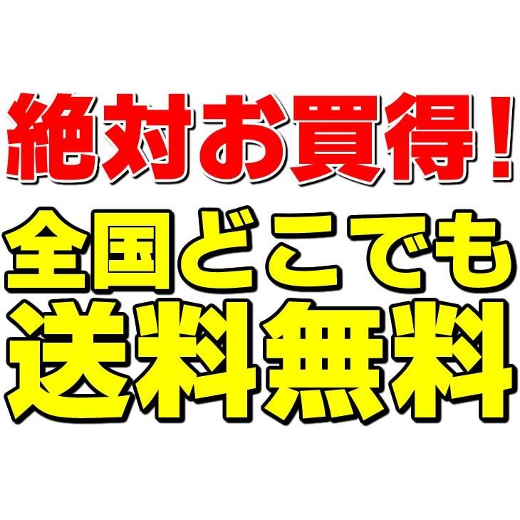 牛すじカレー 3袋 100％国産 牛すじ たまねぎ使用 中辛 惣菜 レトルト 送料無料 非常食 おつまみ 珍味 牛肉 ご飯のお供 贅沢