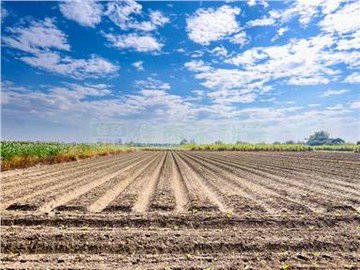 善化南科3.2分有水電投資農地~思思推薦｜台南市善化區六分寮