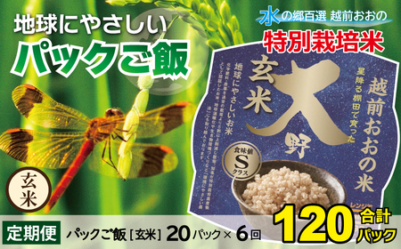 地球にやさしいパックご飯 20食入り× 6回　計120食　減農薬・減化学肥料 「特別栽培米」－地球にやさしいお米－[I-003004]