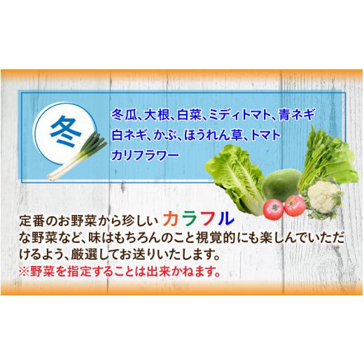 ふるさと納税 福井県 小浜市 鯖街道からお届けする季節の新鮮野菜セット 8種以上 [A-023007]