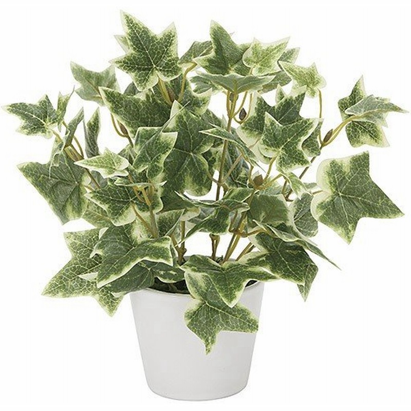 人工観葉植物 光触媒 ミニグリーン 観葉植物 ミニ フェイク グリーン インテリア 人工植物 高さ23cm アイビー 通販 Lineポイント最大get Lineショッピング