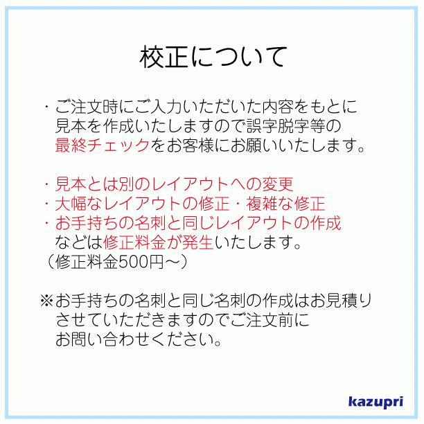 名刺 印刷 作成 激安 ビジネスカラー シンプル 100枚 送料無料 c-y-5