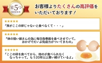 卵 遠州森町 生で食べて欲しい烏骨鶏の卵 30個 卵かけ