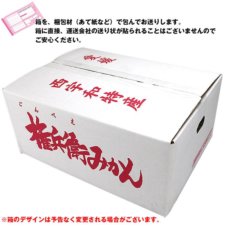 みかん 5kg 愛媛県産 秀品 権兵衛みかん 37〜63玉 S M Lサイズおまかせ マルワ果樹園 産地直送 蜜柑 ミカン フルーツ 果物 常温便 同梱不可 指定日不可