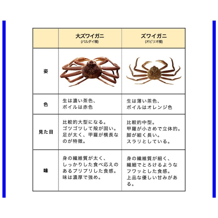 超特大10L生大ずわい半むき身満足セット1kg超