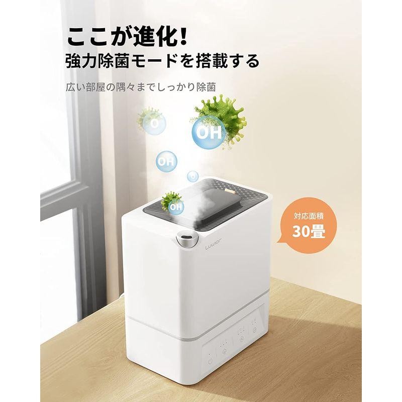 ✨早い者勝ち✨ 加湿器 除菌加湿器 Luwior 電解水除菌 超音波加湿器