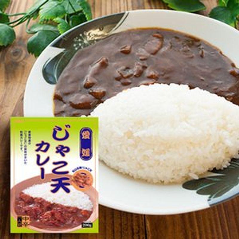 ご当地 レトルト カレー 愛媛 じゃこ天 カレー 中辛 （1人前 200ｇ）