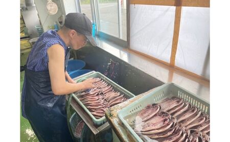 カマスの開き干物15枚セット 冷凍 ひらき カマス かます さかな 魚 海鮮 バーベキュー BBQ アウトドア ギフト 子供 おつまみ おかず ごはん 贈答 プレゼント 開き ひもの 干物