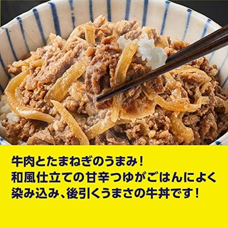 完全メシ日清食品 冷凍 牛丼 5食セット 冷凍弁当 冷凍食品 たんぱく質20.6g PFCバランス 食物繊維6.8g