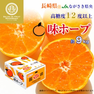 [予約 2024年1月1日必着] 味ホープ みかん 2Lサイズ 約9kg 長崎県 JAながさき県央 お正月必着指定 お年賀 御年賀 冬ギフト