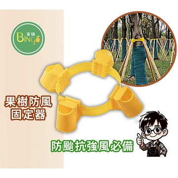 賓購 抗風樹木支撐固定器 果樹支撐固定 防風 防傾倒 颱風防災必備 風災防護 果園防災 芒果樹 山竹 榴槤種植 庭院樹木