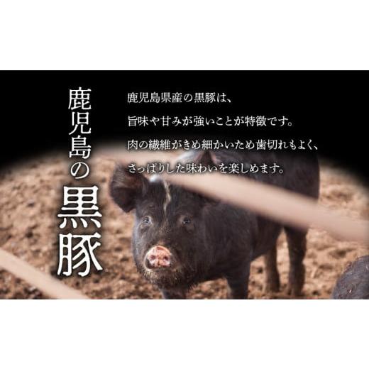 ふるさと納税 鹿児島県 鹿児島市 月揚庵　さつまあげ・黒豚チャーシューセット　K003-002