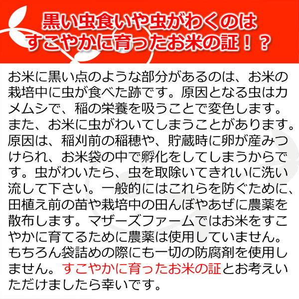 新米 無洗米 玄米 白米 2kg 今ずり米 農薬不使用 コシヒカリ 令和5年産 送料無料