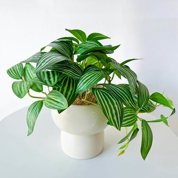 FLORAL M 室內清新翡翠小精靈仿真植栽  1個  綠色