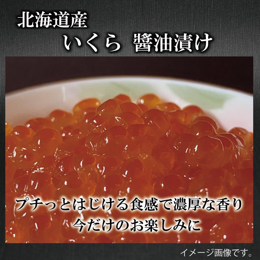 海産物 北海道 セット 毛ガニ タラバガニ 豪華 9点 龍 詰め合わせ 4〜5人前程度  毛蟹 カニ かに 贈り物 お祝い ギフト プレゼント ホタテ 海老