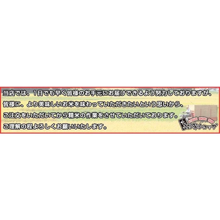 新米 令和5年産 ひとめぼれ 20kg お米 白米 精米 国産 岩手県産 10kgx2袋 小分け 送料無料