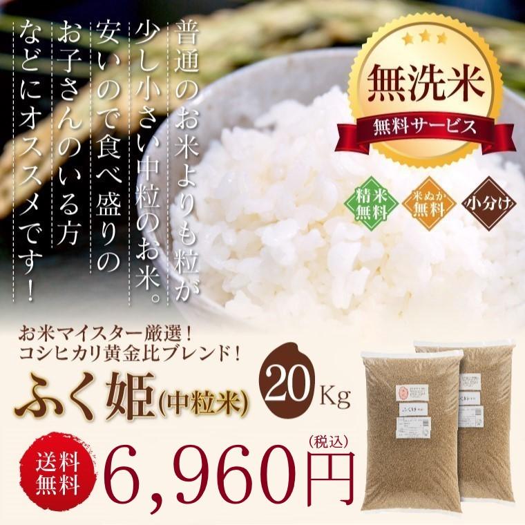 新米入り 米 お米 20kg ふく姫  玄米 ブレンド米 セール 訳あり 無洗米 送料無料 中粒米