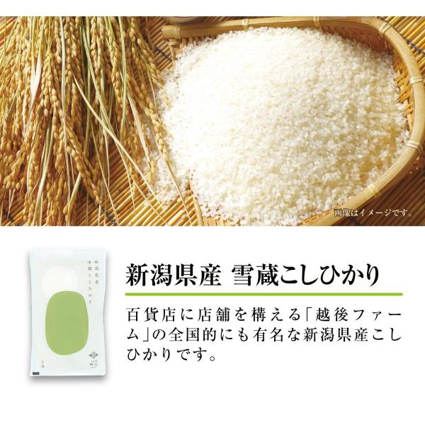 送料無料 越後ファーム新潟県産雪蔵こしひかり600g（4合） 志 香典返し 満中陰志 お供え