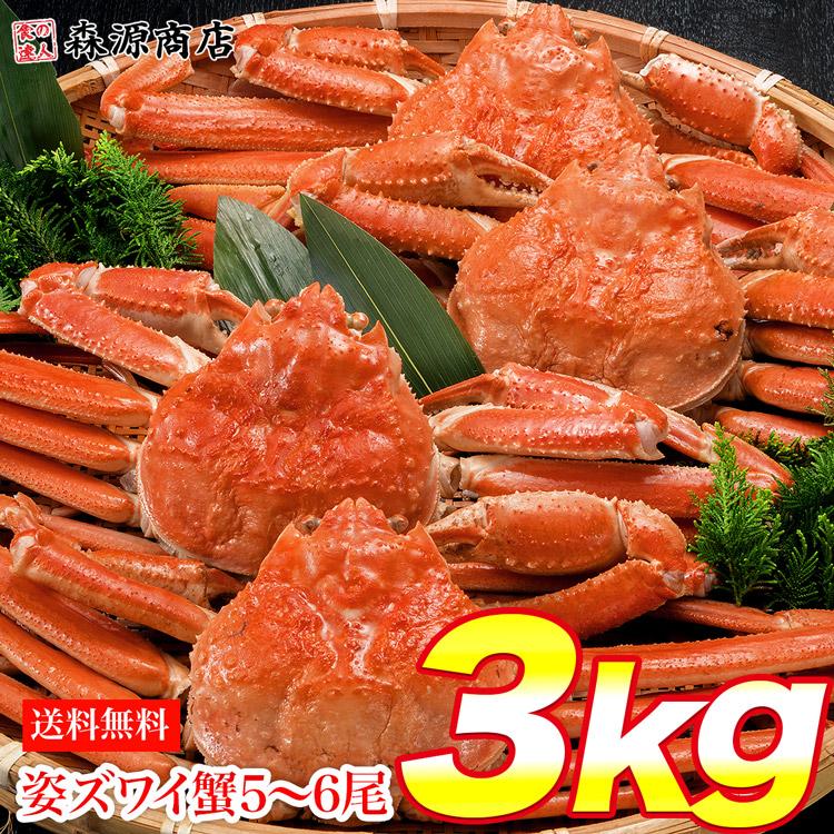 姿ずわいがに 3kg セット (5〜6尾) カニ味噌 ズワイガニ カニ かに 蟹