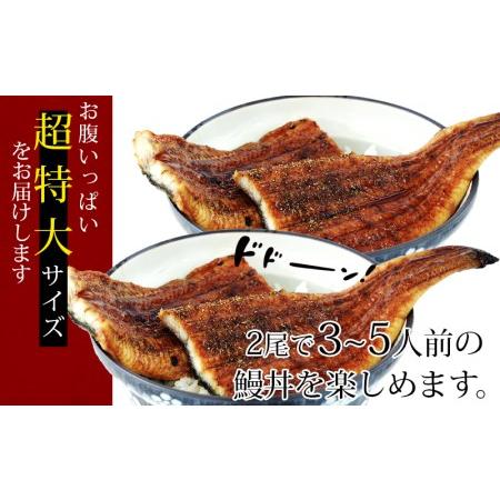 ふるさと納税 三河産うなぎ「超特大蒲焼き2尾(合計400〜420g)」×6回(隔月1回　1年間)・A133-102 愛知県西尾市