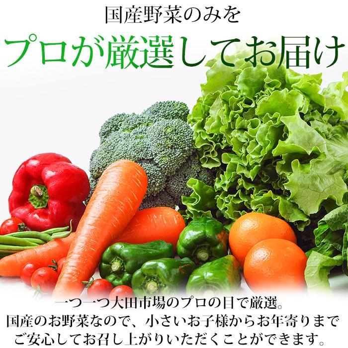 野菜詰め合わせ 市場直送おまかせ国産野菜セット 10〜13品 国産