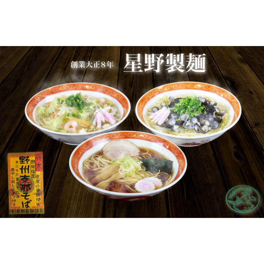 星野製麺 野州ちゃんぽん 10食セット FN0WT