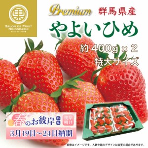 [予約 2024年1月5日-1月30日の納品] プレミアムやよいひめ 特大サイズ 約400g×2パック 計約800g 群馬県産 化粧箱 DX やよいひめ 苺 いち