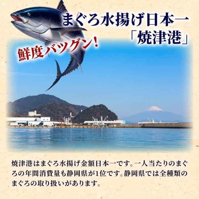 天然本まぐろ三昧 900gセット［中トロ柵 赤身柵 たたき］ 冷凍 本マグロ クロマグロ 鮪 まぐろ 刺身 まぐろ丼 送料無料