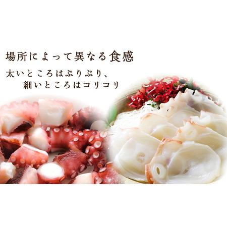 ふるさと納税 北海道産 やわらか煮たこ足（約600g）2本セット＜菊地水産＞_Y020-0429 北海道余市町