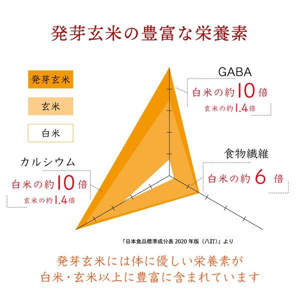 お歳暮 グルテンフリー 麺 パスタ 発芽玄米 特定原材料不使用 ヴィーガン 国産 滋賀県産 米粉 ラーメン 発芽玄米めん ジャージャー麺の素 ギフト