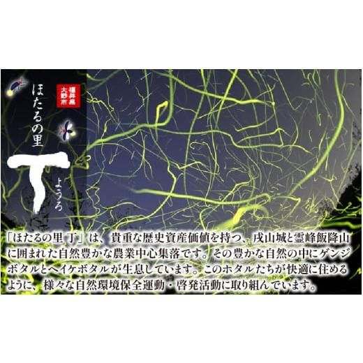 ふるさと納税 福井県 大野市 ベストファーマー ほたるの里 特別栽培こしひかり 6kg（2kg×3） × 3回 計18kg 化学肥料不使…