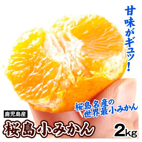 みかん 2kg 桜島小みかん 鹿児島産 ご家庭用 送料無料 食品