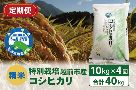 〈先行予約〉（令和5年度新米 精米）特別栽培 越前市産コシヒカリ 10kg×４回