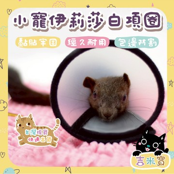 🇹🇼現貨·初四開工🍄吉米寶🍄小寵伊莉莎白項圈 JM079-2小寵防咬圈▸小寵頭套▸小寵防舔套▸防舔圈▸防舔頭套