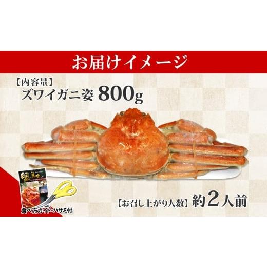 ふるさと納税 北海道 弟子屈町 1719.  ボイルズワイガニ姿 800g 食べ方ガイド・専用ハサミ付 カニ 蟹 送料無料 北海道 弟子屈町