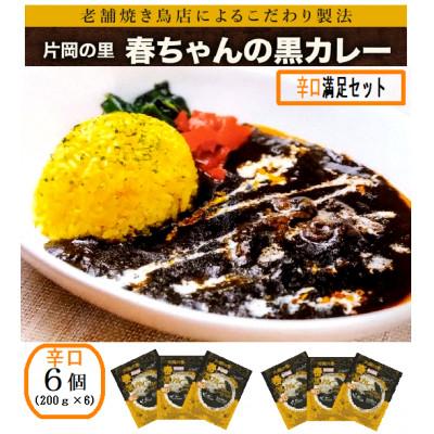 ふるさと納税 上牧町 片岡の里春ちゃんの黒カレー　辛口満足セット