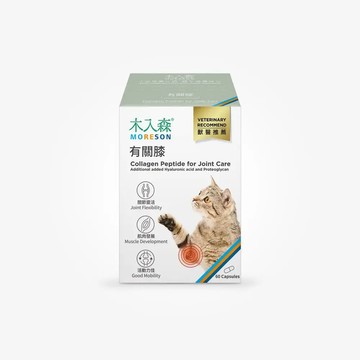 木入森貓咪有關膝 60顆/盒裝