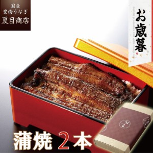 うなぎ 国産 お歳暮 ギフト 蒲焼き 115-130g×2尾 中サイズ 約2人前 送料無料 豊橋うなぎ プレゼント 贈り物 真空パック お祝 鰻 専門店