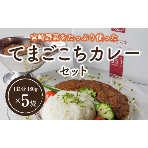 ふるさと納税 宮崎県 宮崎市 てまごこちカレー(180g×5袋)セット_M054-001