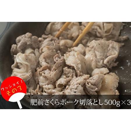 ふるさと納税 佐賀牛・豚・鶏・お肉セット（6,400g）JAよりみち E730-001 佐賀県小城市