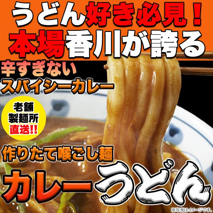 辛すぎないスパイシーなカレーうどん4食(180g×4) レンジで簡単 カレースープ付（粉末）訳あり お試し ポイント 送料無料