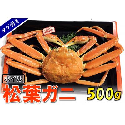 ふるさと納税 鳥取市 タグ付きボイル松葉ガニ(並500g)