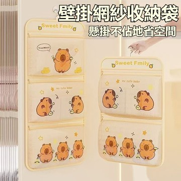 ⚡壁掛網兜收納袋 襪子收納袋 內衣收納袋 收納掛袋 收納網兜 內衣內褲收納網兜 多層衣櫃掛式內衣收納 襪子收納