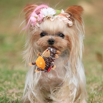 GiGwi貴為mini企鵝毛絨發聲玩具馬爾濟斯幼犬小狗bb叫可愛狗玩偶