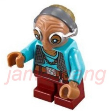 【台中翔智積木】LEGO 樂高 星際大戰 75139 Maz Kanata (sw703)