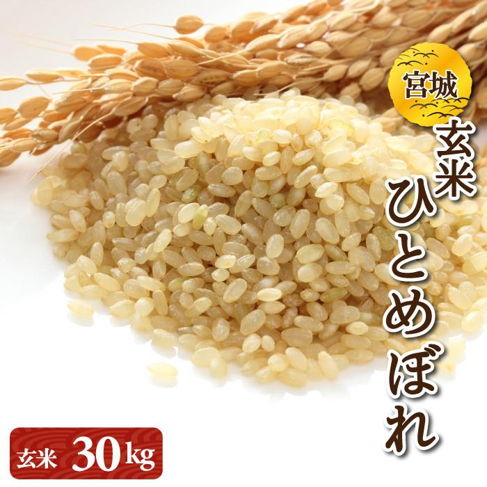 新米　令和5年産　ひとめぼれ　玄米　30kg　宮城県産　検査一等米　送料無料（離島・沖縄発送不可）