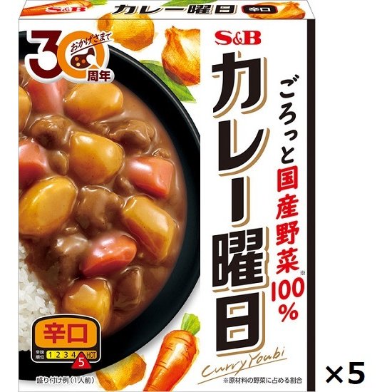 エスビー 新カレー曜日   辛口   1人前  230g  ×5個